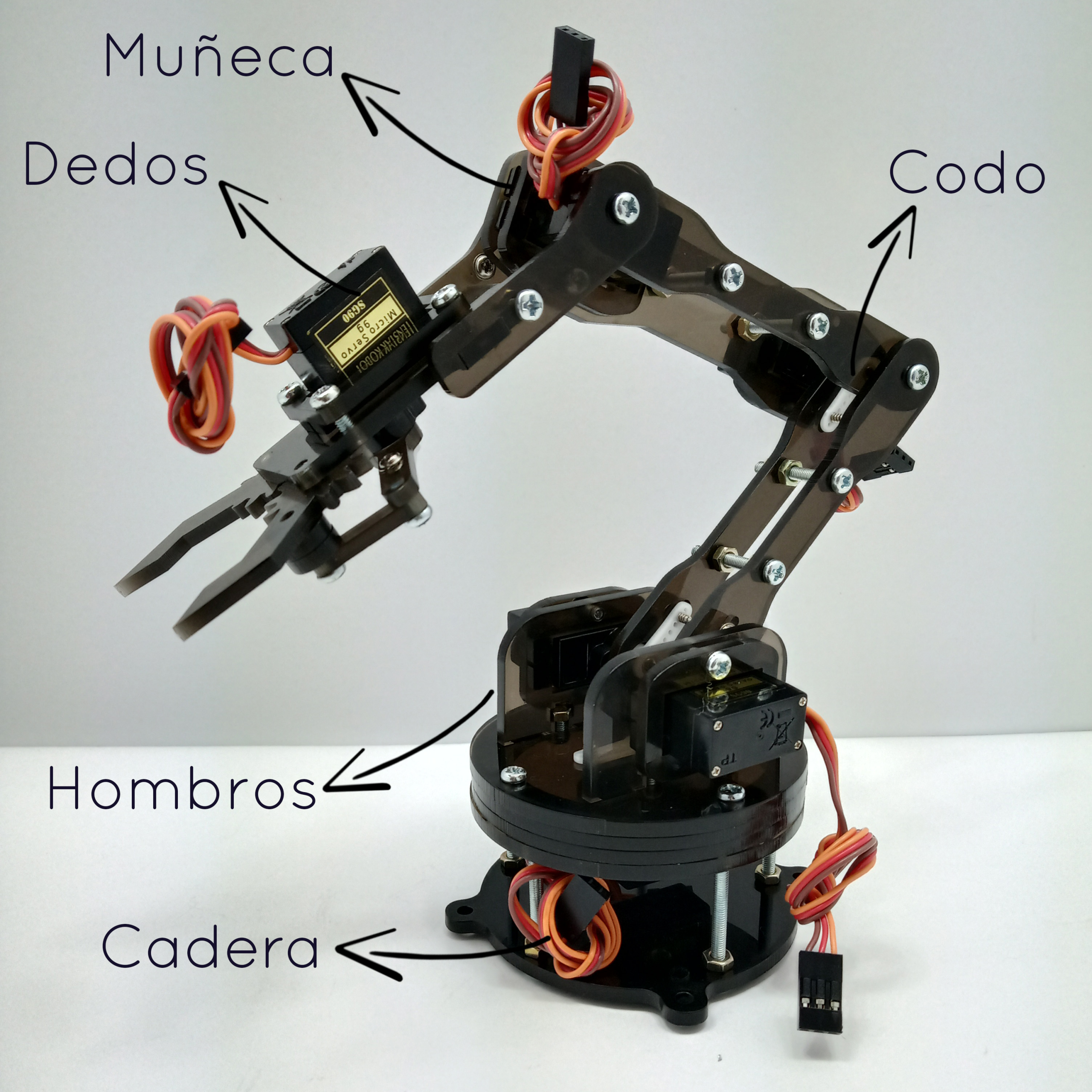 Ensamble Brazo Robotico Kimo 6 Servos